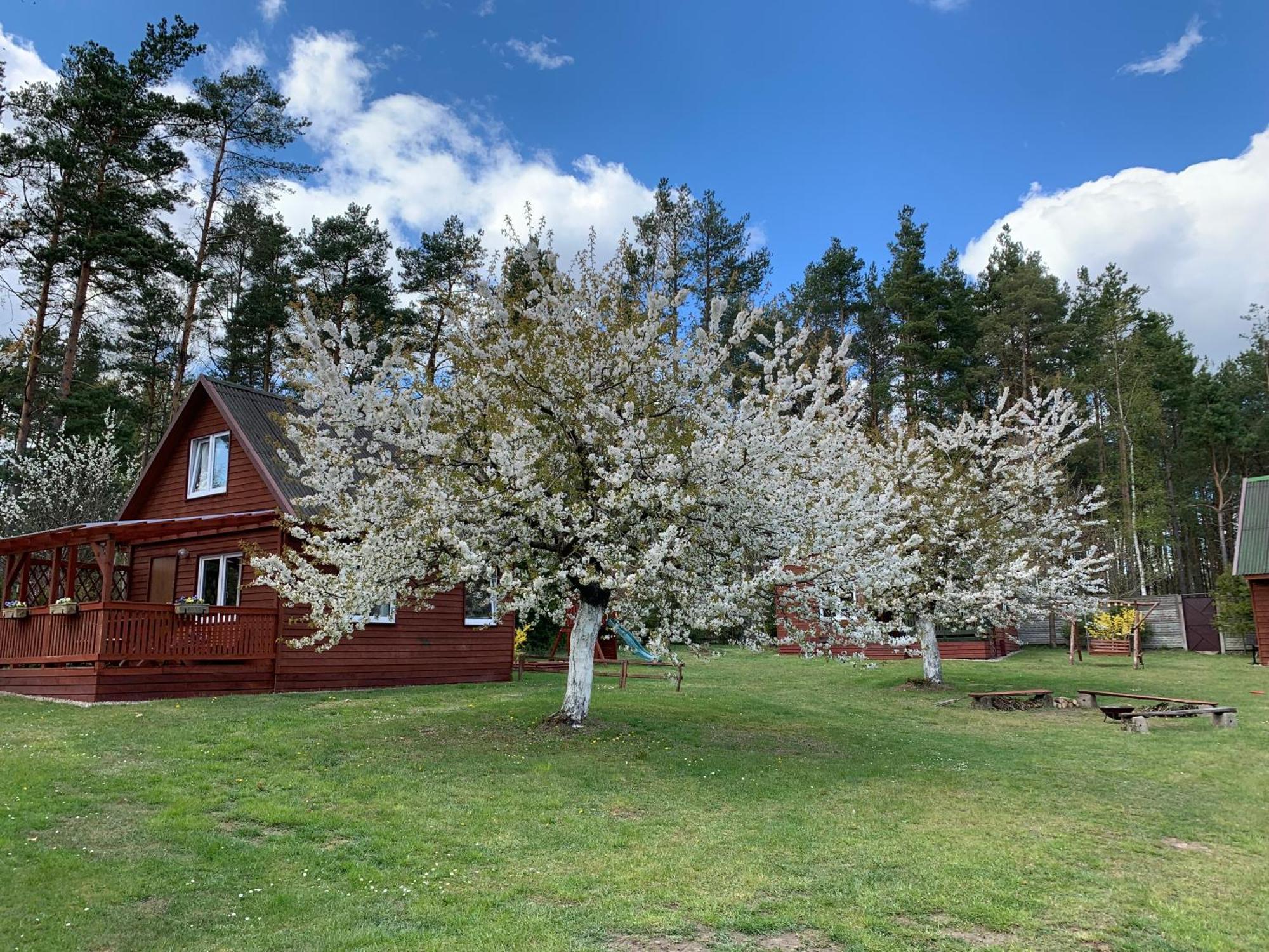 Gryfne Kaszuby Villa Kamienica Krolewska ภายนอก รูปภาพ
